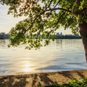 Нежная прохлада весеннего вечера